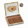 ROMEO Y JULIETA - MILLER FLEUR x 10