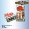 ARGEN 1895 - Petit Robusto Box x 10