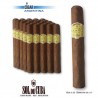 SOL DE CUBA - ROBUSTO - Mazo x 25