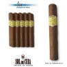 SOL DE CUBA ROBUSTO - Mazo x 10