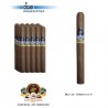 LA FLOR DE LA ISABELA CORONA - Mazo x 20