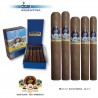 LA FLOR DE LA ISABELA TORO - Box x 10