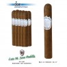 SP Ed 1900 Robusto